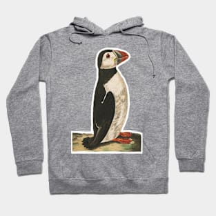 Puffin 01 transparent background Hoodie